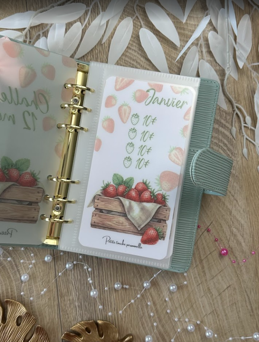 Challenge Frésia en 12 mois 🍓| Défi épargne budget annuel plastifié A6 (Copie)
